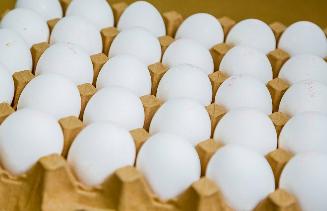 Куриное яйцо тест. Столовое яйцо. Диетические яйца. Яйцо куриное. Яйца 1 сорт.