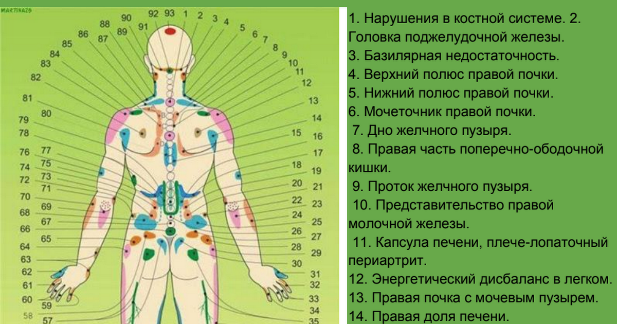 Точки на теле отвечающие за органы фото с надписями