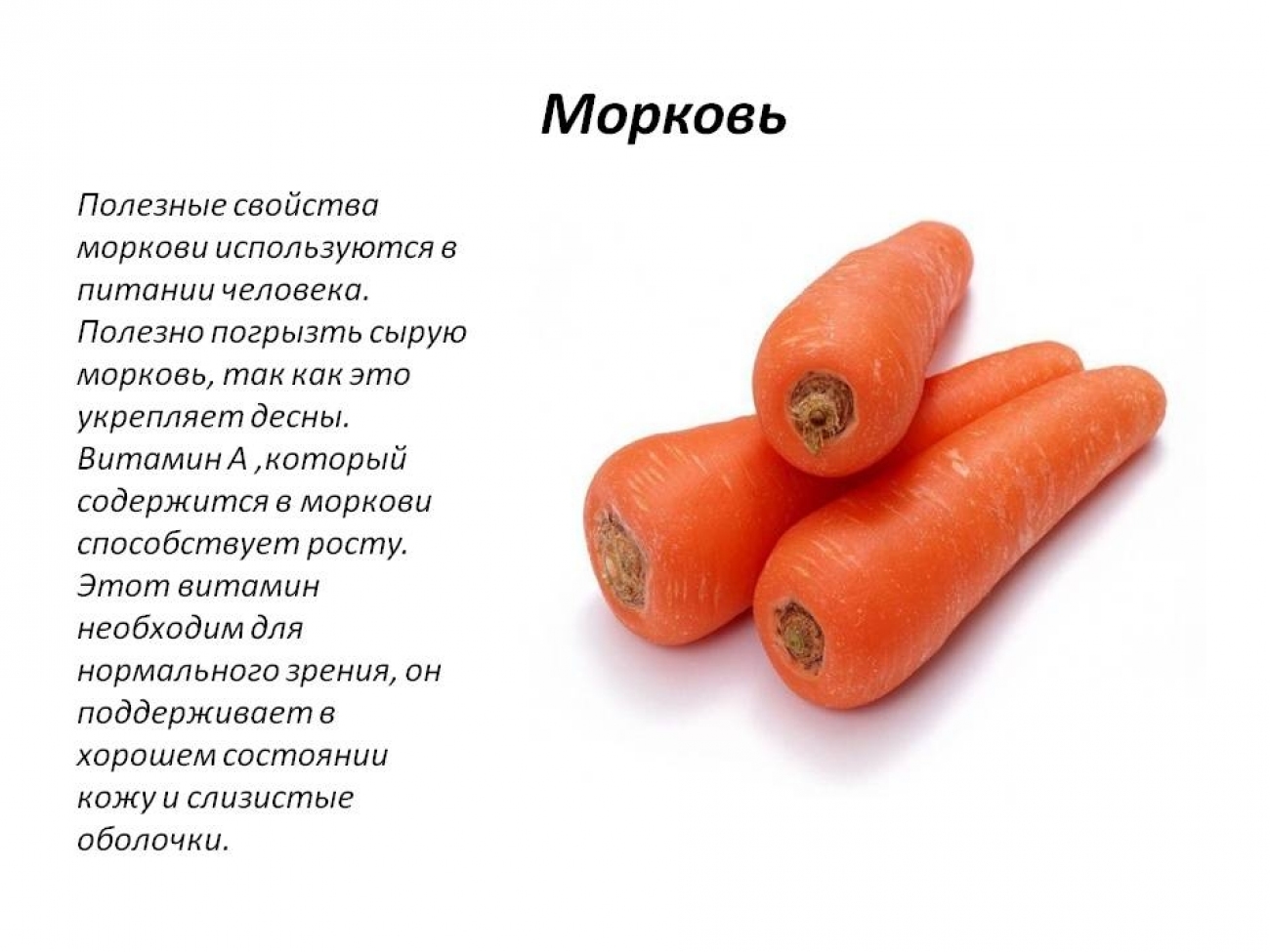 Любит ли морковь. Чем полезна морковь. Чем полезна морковка. Полезные свойства моркови. Полезность моркови.