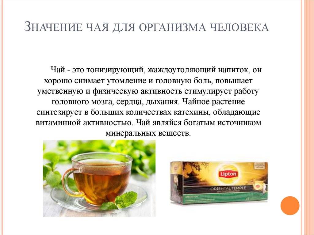 Качество чая в россии. Значение чая для человека. Чай для презентации. Описание чая. Виды чая и польза.