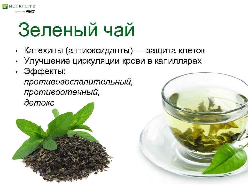 Вред зеленого чая для мужчин. Катехины зеленого чая. Лечебный зеленый чай. Зеленый чай антиоксидант.