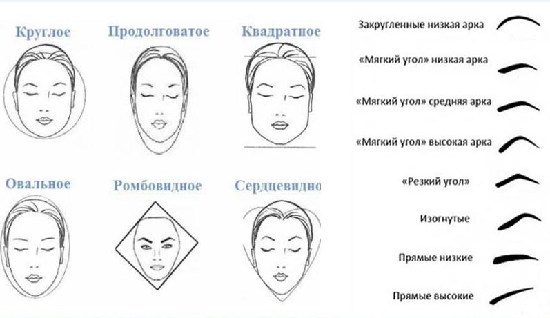 Какие формы лица привлекают. Форма бровей для разных форм лица. Брови по типу лица. Брови по форме лица. Брови для овального лица.