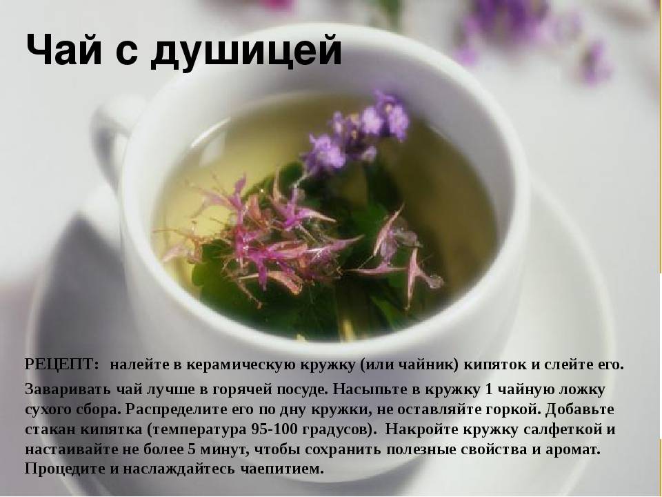 Травы вместо чая каждый день. Травяной чай из душицы. Рецепты из лекарственных растений.