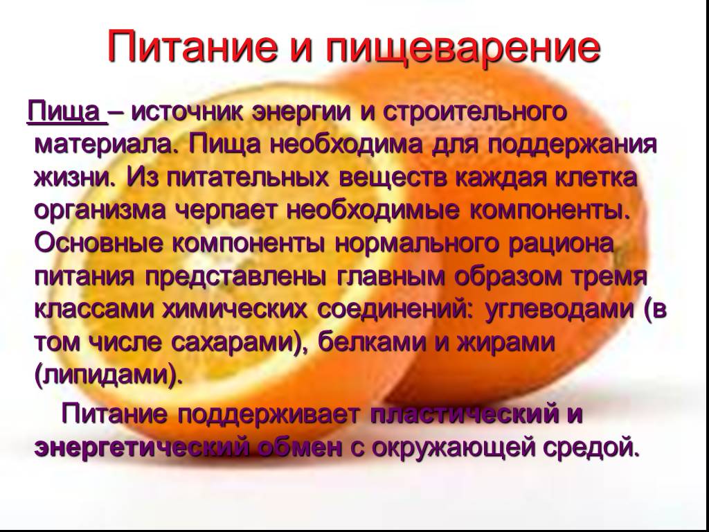 Пищеварение пищи. Питание и пищеварение. Биология питание и пищеварение. Питание и пищеварение презентация. Вывод питание и пищеварение.