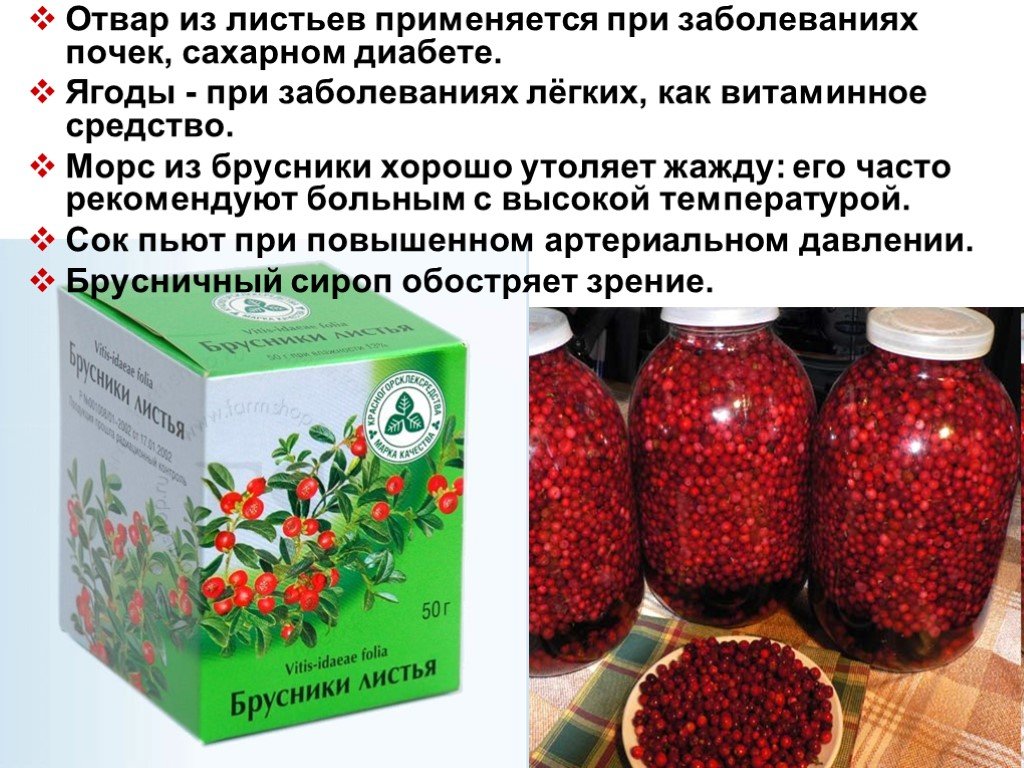 При каких заболеваниях пьют. Препараты из ягод брусники. Ягоды полезные для почек. Брусника при сахарном диабете. Брусника отвар из ягод.