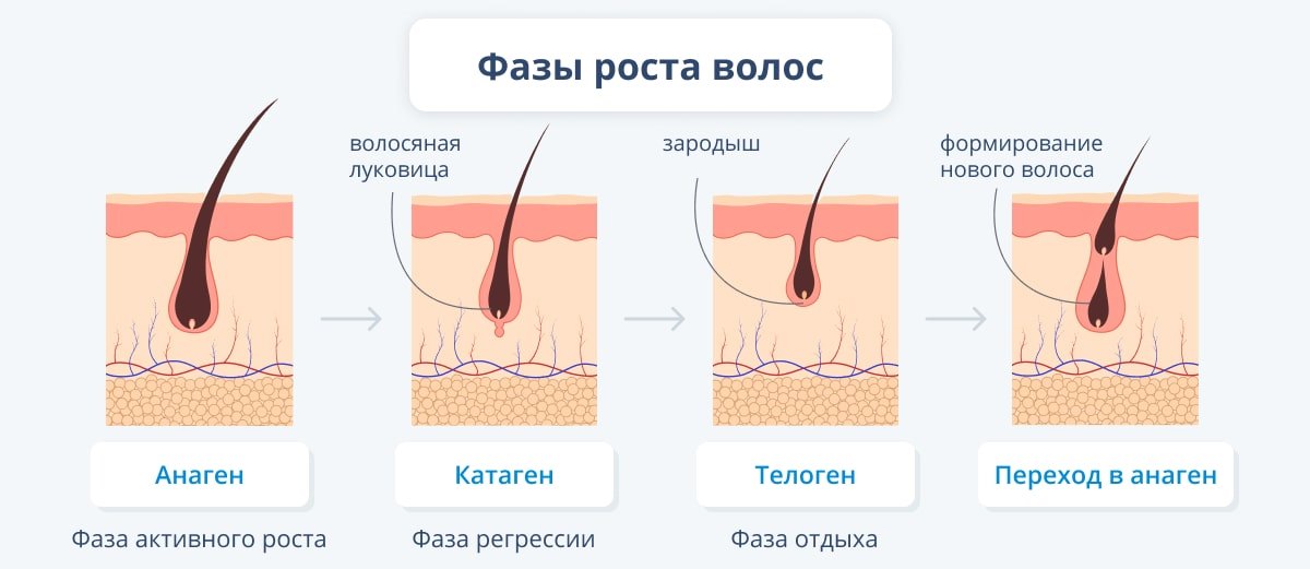 Волос рост условие