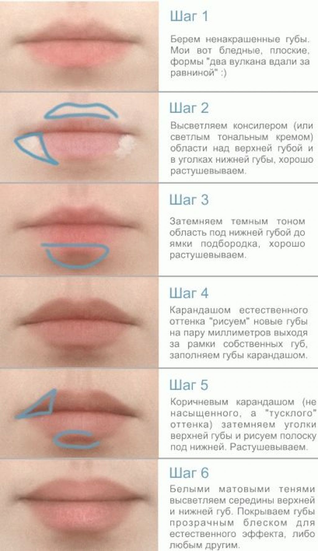 Как отличить губы. Формы губ. Коррекция формы губ. Форма губ для перманентного макияжа. Разные формы губ.