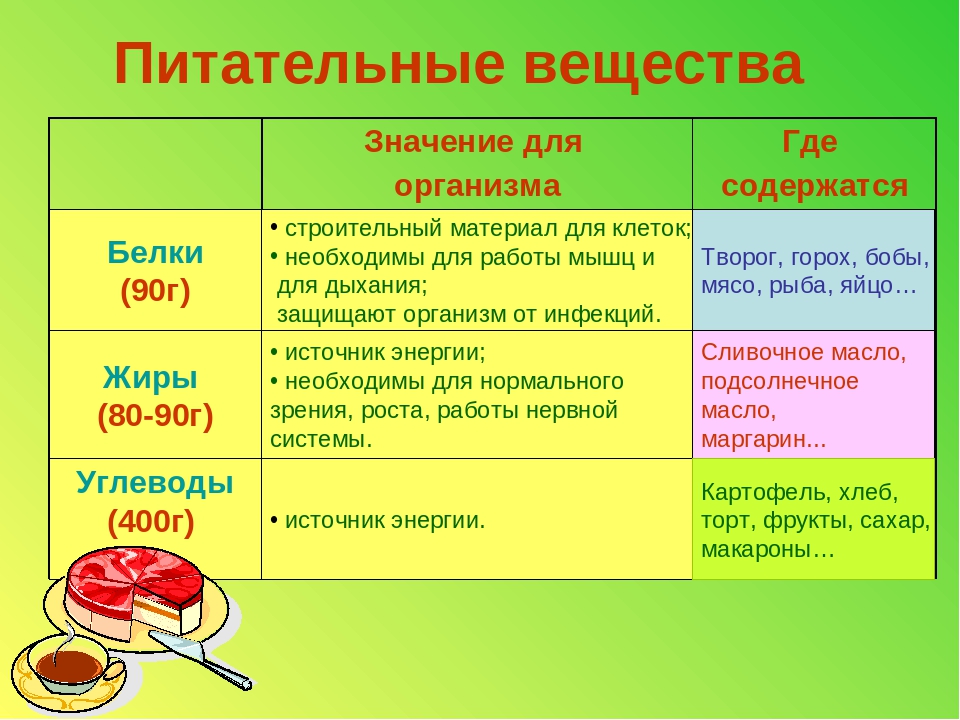 Таблица пищи. Функции питательных веществ (белки, жиры, углеводы). Пищевые вещества жиры белки углеводы витамины. Питательные вещества белки жиры углеводы витамины. Питательные вещества для организма человека.