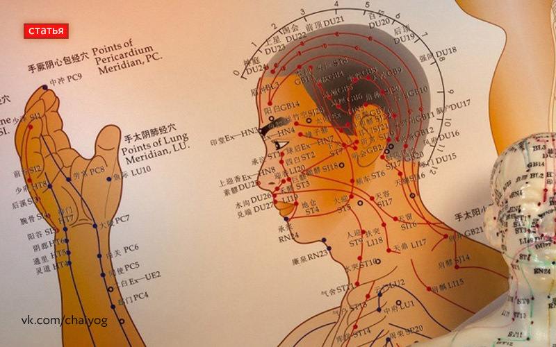 Схема акупунктурных точек на теле человека