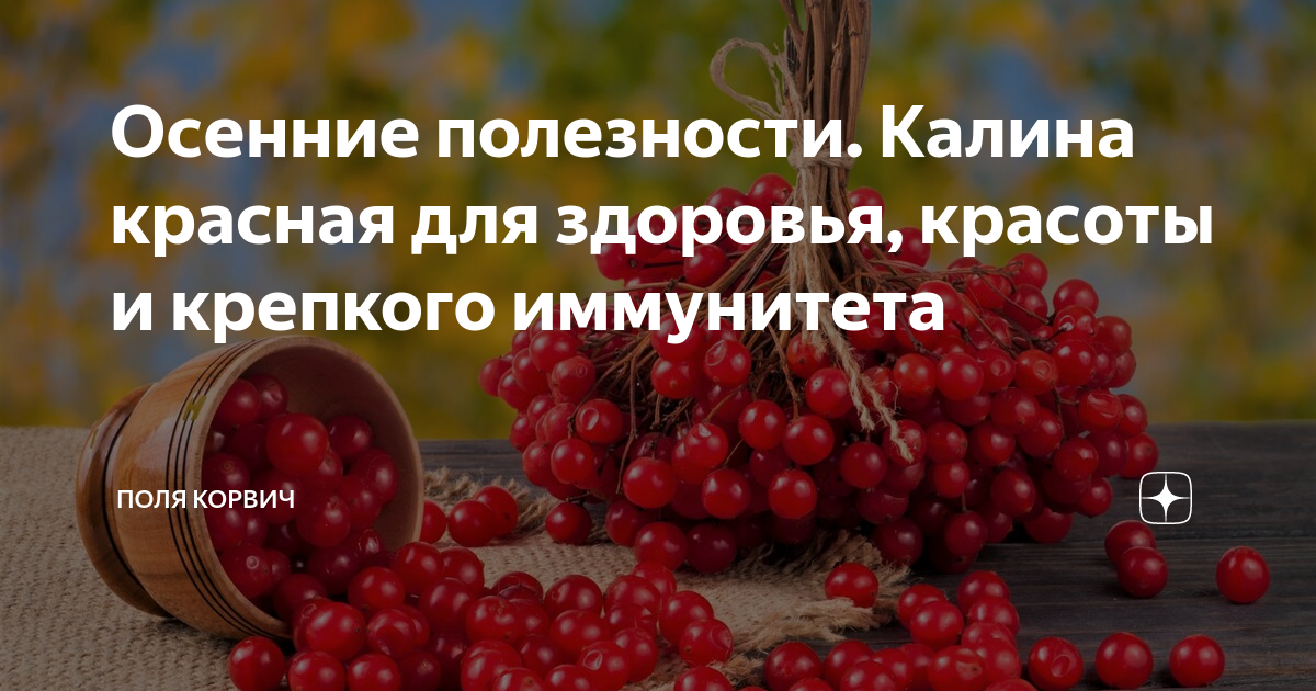 Калина польза и вред для здоровья. Калина красная ягода от давления. Калина красная полезные свойства. Калина красная в косметологии. О пользе калины для здоровья.