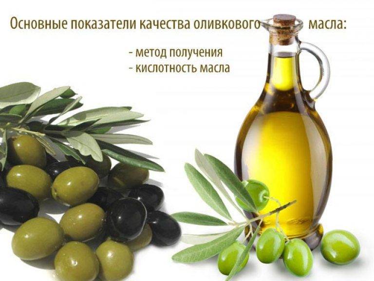 Оливковое масло имеет. Оливковое масло. Оливковое масло показатели качества. Испорченное оливковое масло. Оливковая масло в лечебных.