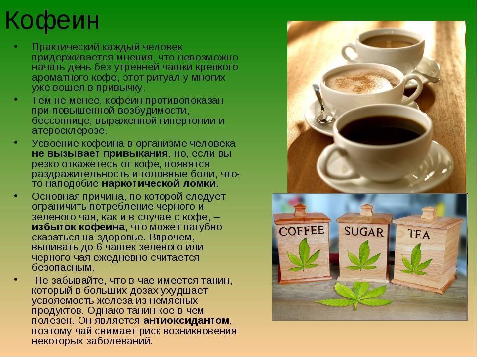 Чай вреден для здоровья. Кофеин в чае. Кофеин чай или кофе. Кофеина больше в кофе или зеленом чае. В чае больше кофеина.
